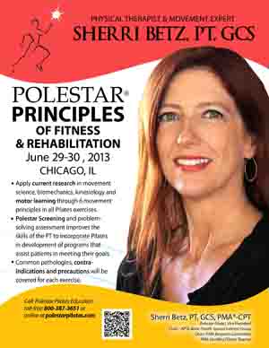 Principles Flyer Chicago